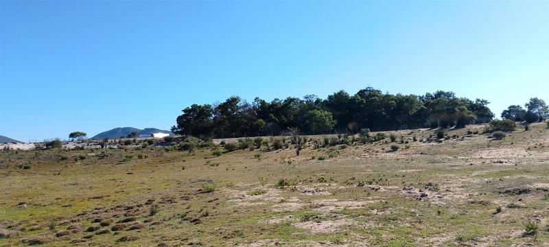 0 Bedroom Property for Sale in Gouritsmond Western Cape